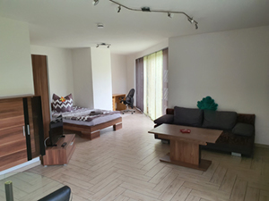 Apartment Ferienwohnung Grenzland